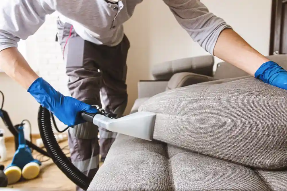 Gloved hand steam cleaning a fabric sofa cushion