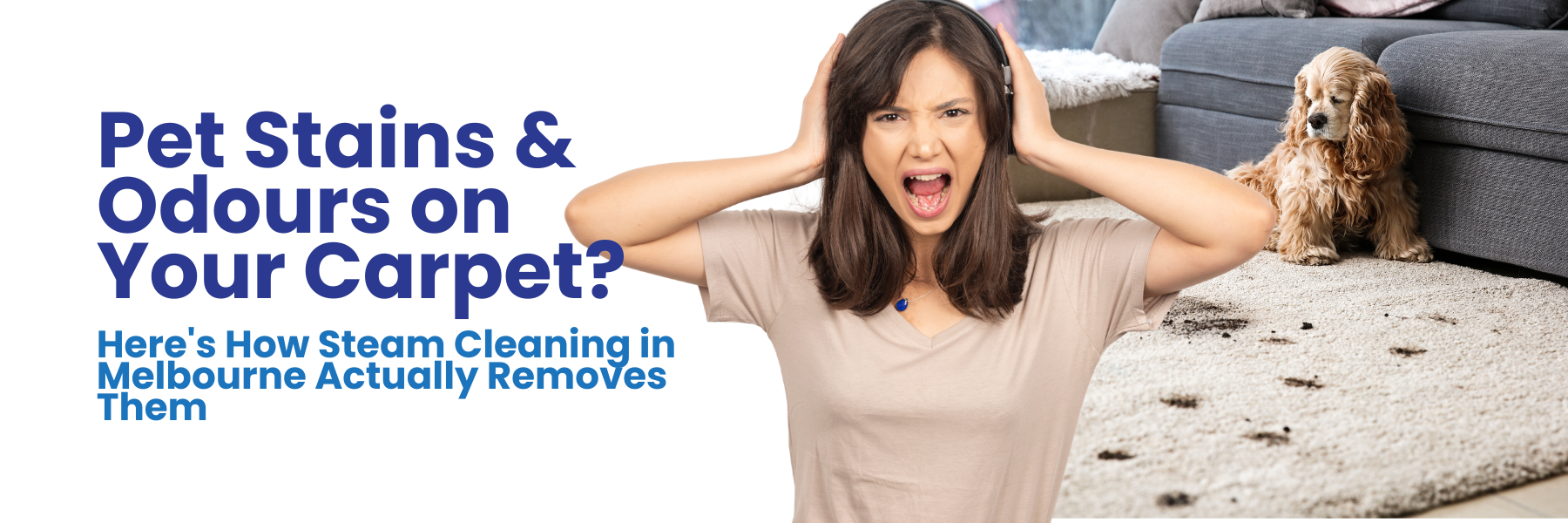 Pet stain carpet cleaning in Melbourne